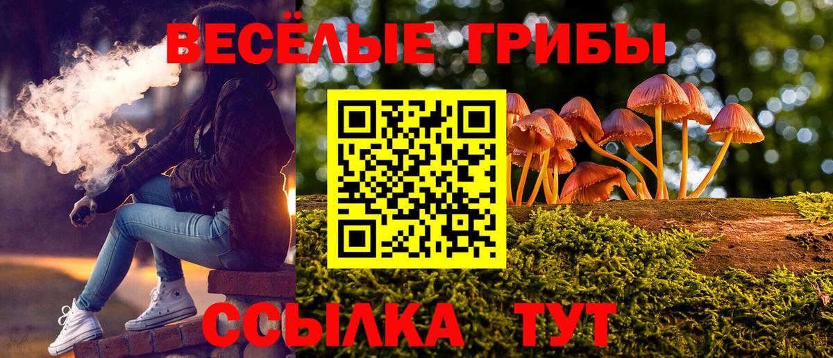 Псилоцибиновые грибы мицелий Раменское